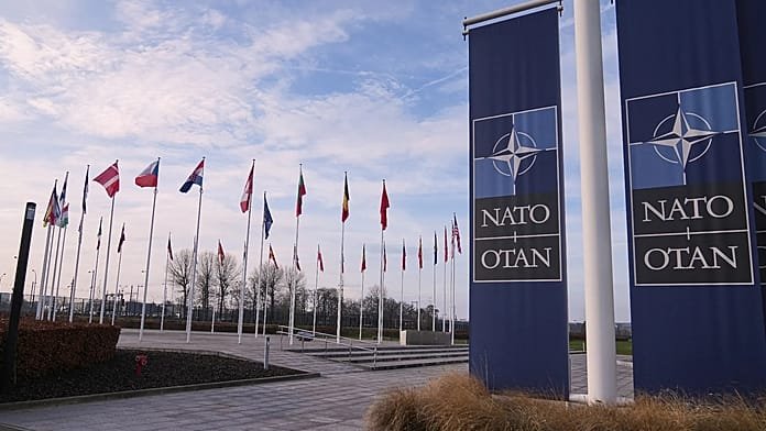 Trump considers pulling US out of ‘paper tiger’ NATO