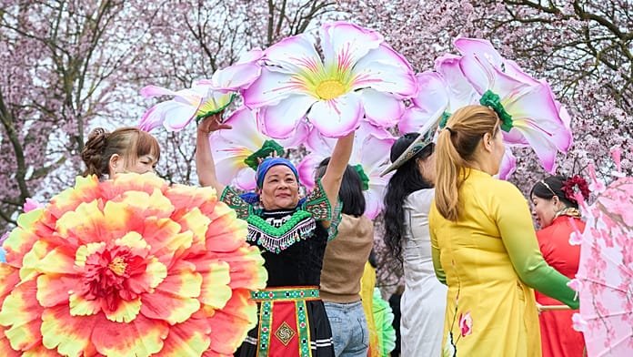 Cherry Blossom Festival in Berlin attracts many tourists this spring
