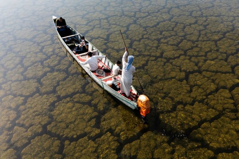 Rains revive Iraq’s wetlands after years of drought