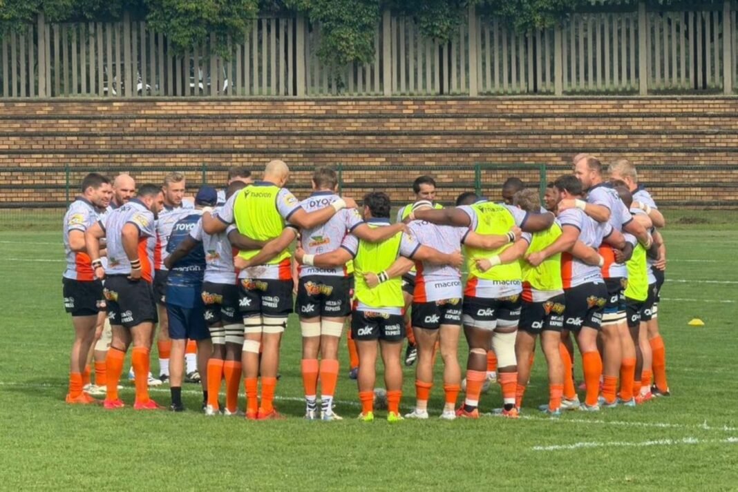 Cheetahs season hangs in the balance