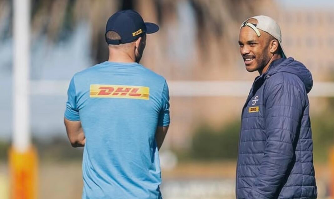 Tigers sink claws into Stormers coach