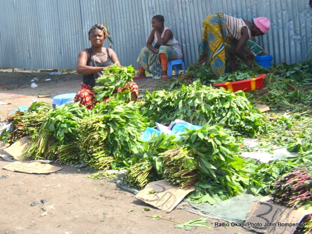 Les machines de broyage de « pondu » devenues de véritables AGR à Kinshasa