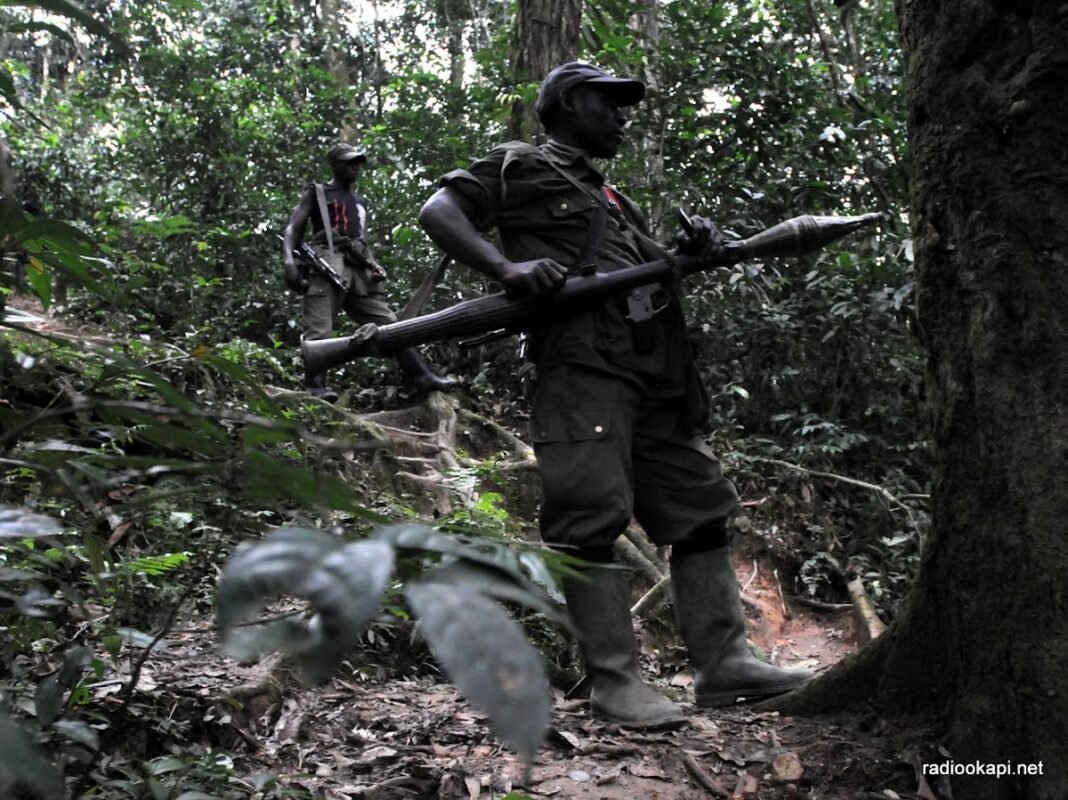 La société civile de Lubero réclame une cartographie claire des positions des FDLR avant toute opération militaire
