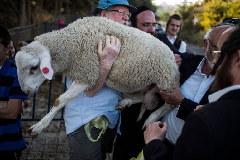 Record animal sacrifice attempts at Al-Aqsa prompt status quo fears