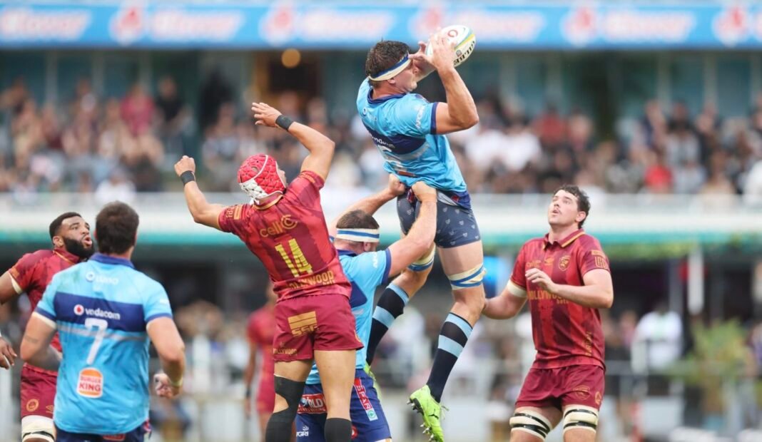 Bulls back lock depth after Nortjé blow