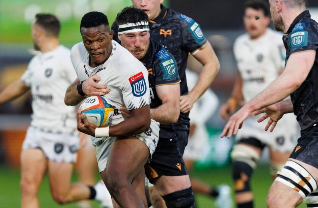 Sharks suffer killer blow