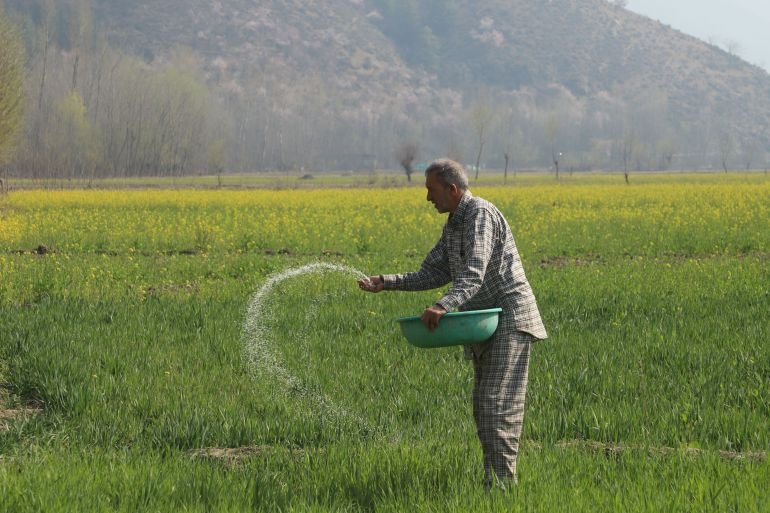 ‘It all depends on the crop’: Gulf crisis hits South Asia farmers