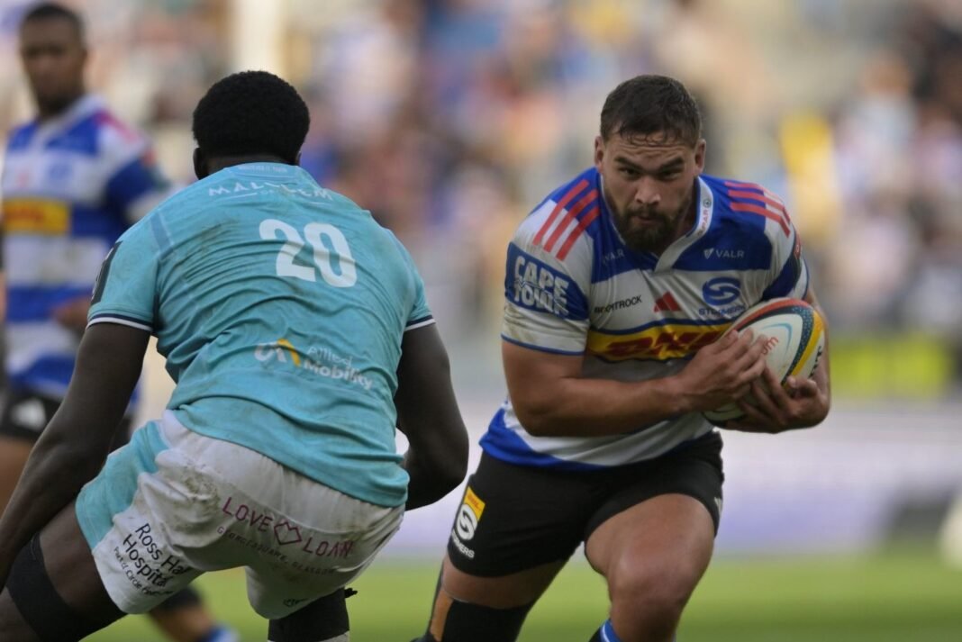 Dobbo: Focused Stormers stuck to plan