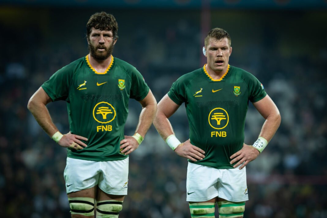 Another Bok on the move