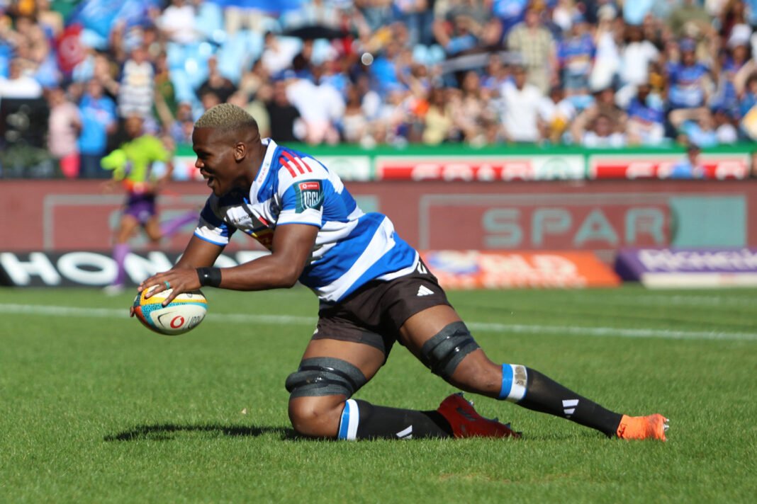 Dayimani headlines Stormers XXIII for Shark fight