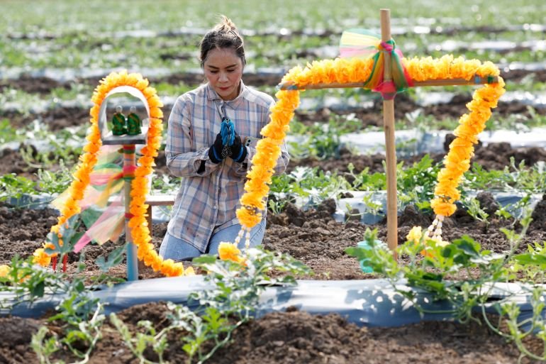 World faces food ‘catastrophe’ if Strait of Hormuz disruption persists: FAO