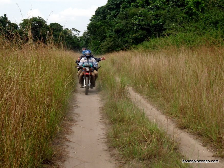Plaidoyer pour l'intégration du Maniema dans le projet « Couloir vert Kivu-Kinshasa »