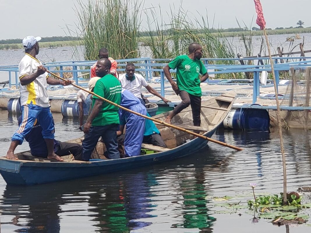 Suspension de la pêche sur le lac Tanganyika : inquiétudes de la population