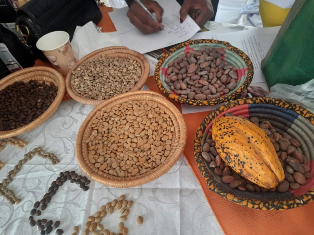 Le Gouvernement prend des mesures pour stabiliser les prix du cacao