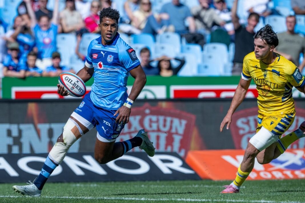 Bulls get job done against outgunned Zebre