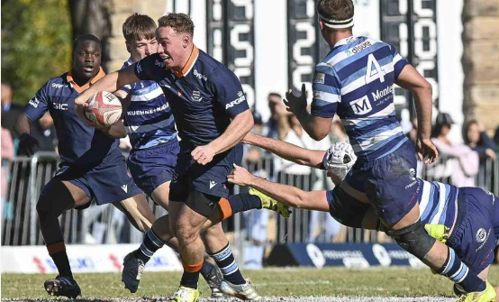 Schools wrap: Grey College hold off Paarl Boys’